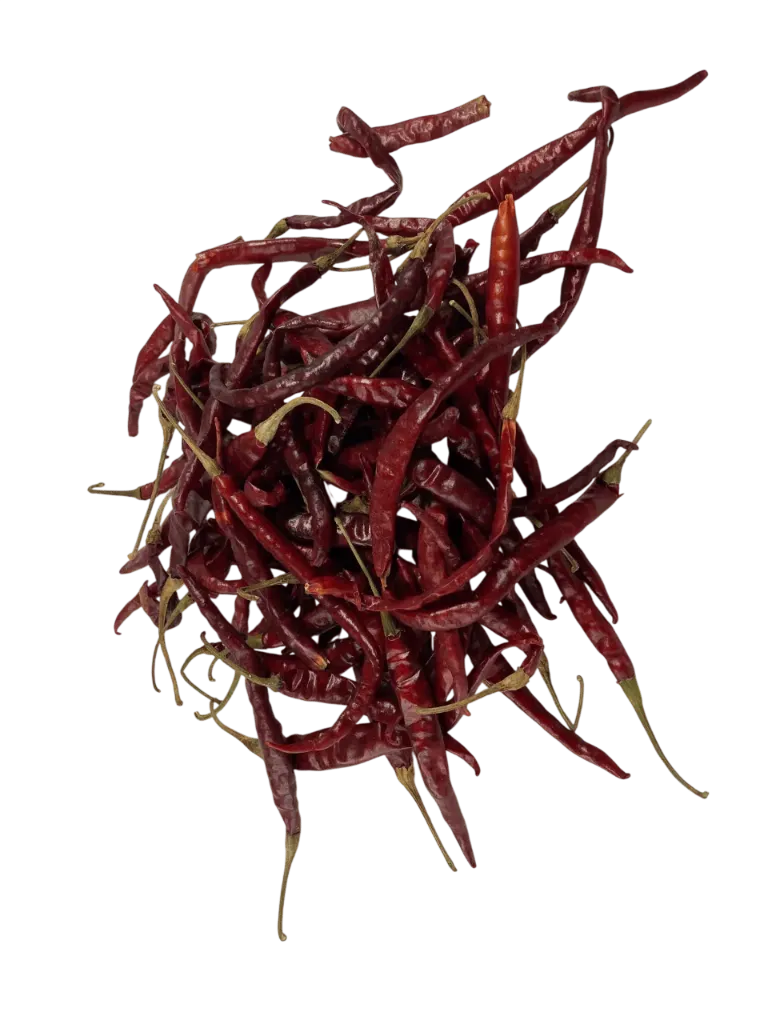 ARBOL CHIHUAHUA