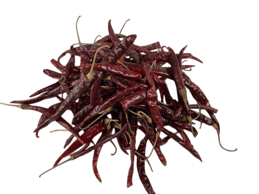 ARBOL HIDALGO