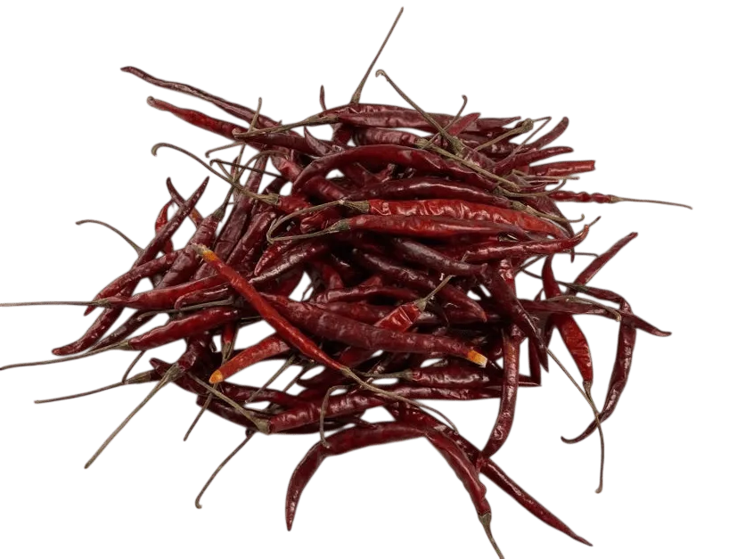 ARBOL YAHUALICA