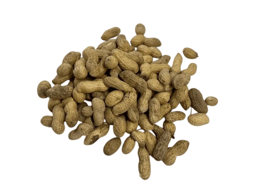 CACAHUATE CRUDO CHIHUAHUA