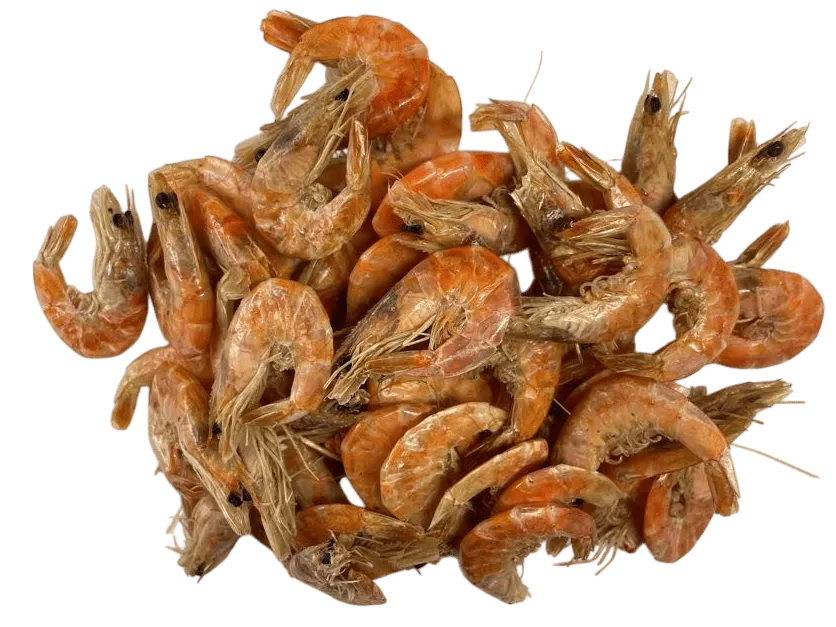 CAMARON MEDIANO