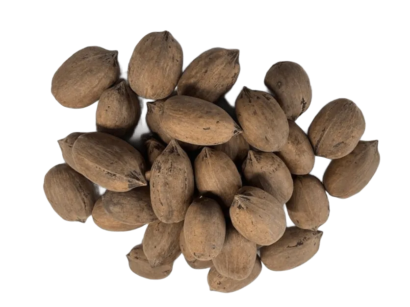 NUEZ CASCARA